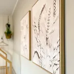 Hoeve Vianen 德科克斯多普